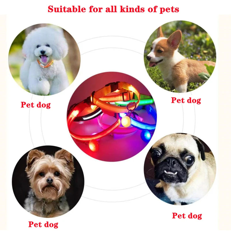 USB Rechargeable LED Glowing Dog Collar