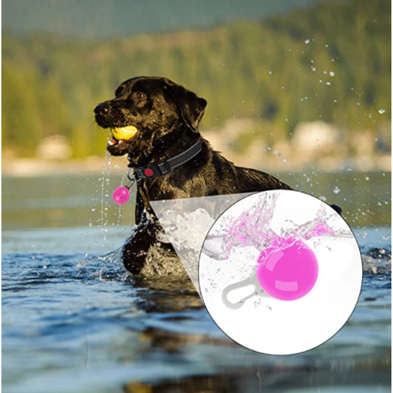 USB Rechargeable LED Glowing Dog Collar