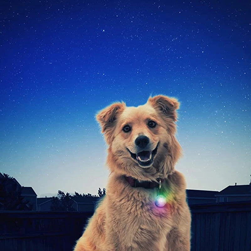 USB Rechargeable LED Glowing Dog Collar