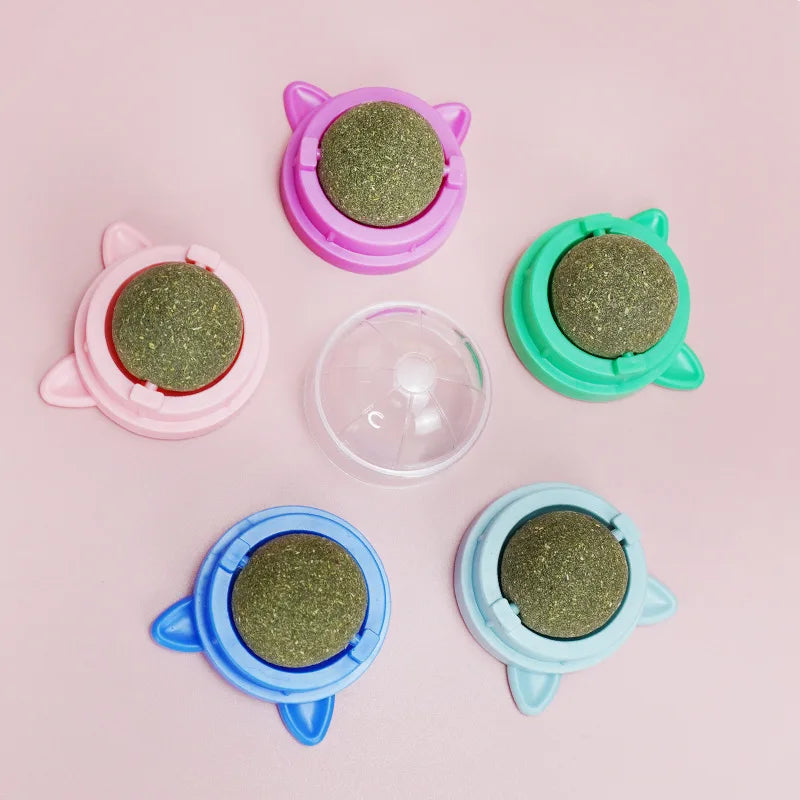 Natural Catnip & Cat Grass Digestive Treats with Scratch Wall Sticker