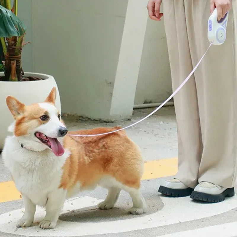3M/5M Automatic Retractable Dog Leash with LED Flashlight