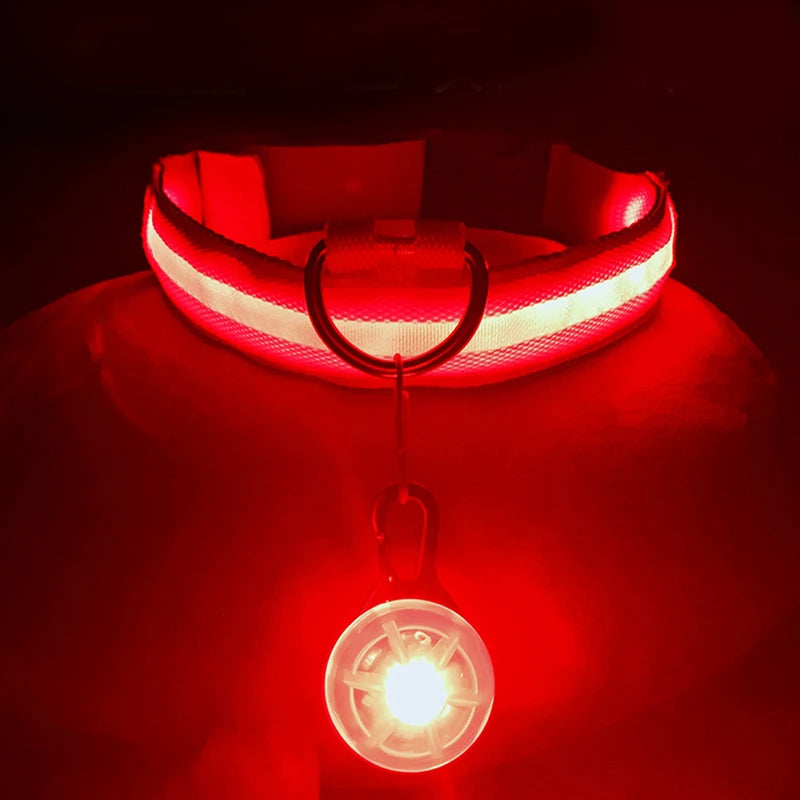USB Rechargeable LED Glowing Dog Collar