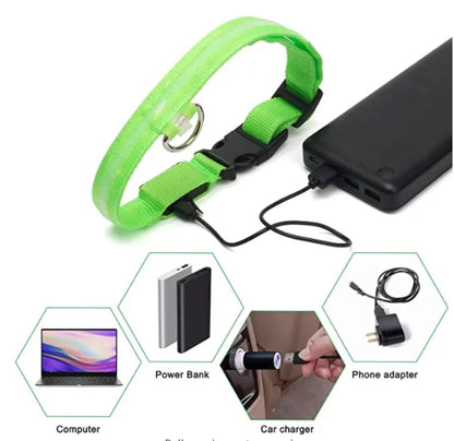 USB Rechargeable LED Glowing Dog Collar