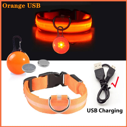 USB Rechargeable LED Glowing Dog Collar