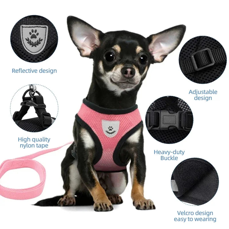 Summer Breathable Adjustable Mesh Harness & Leash for Small Dogs & Cats – Reflective Safety Vest
