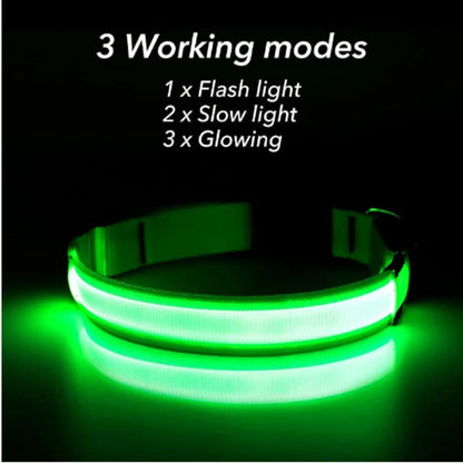 USB Rechargeable LED Glowing Dog Collar