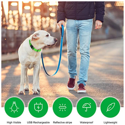 USB Rechargeable LED Glowing Dog Collar