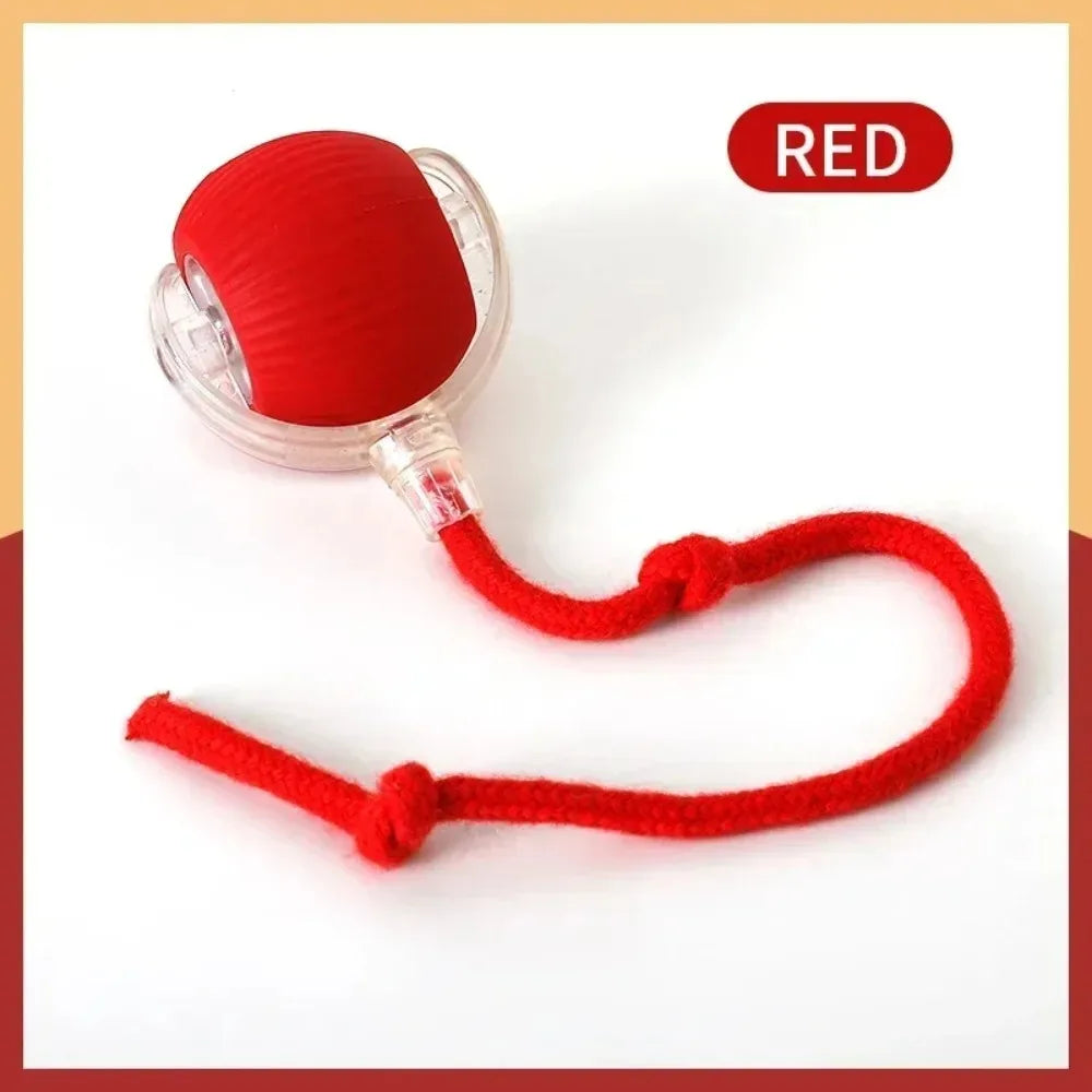 Rechargeable Smart Rolling Cat Toy – Faux Tail Mouse Simulation Ball