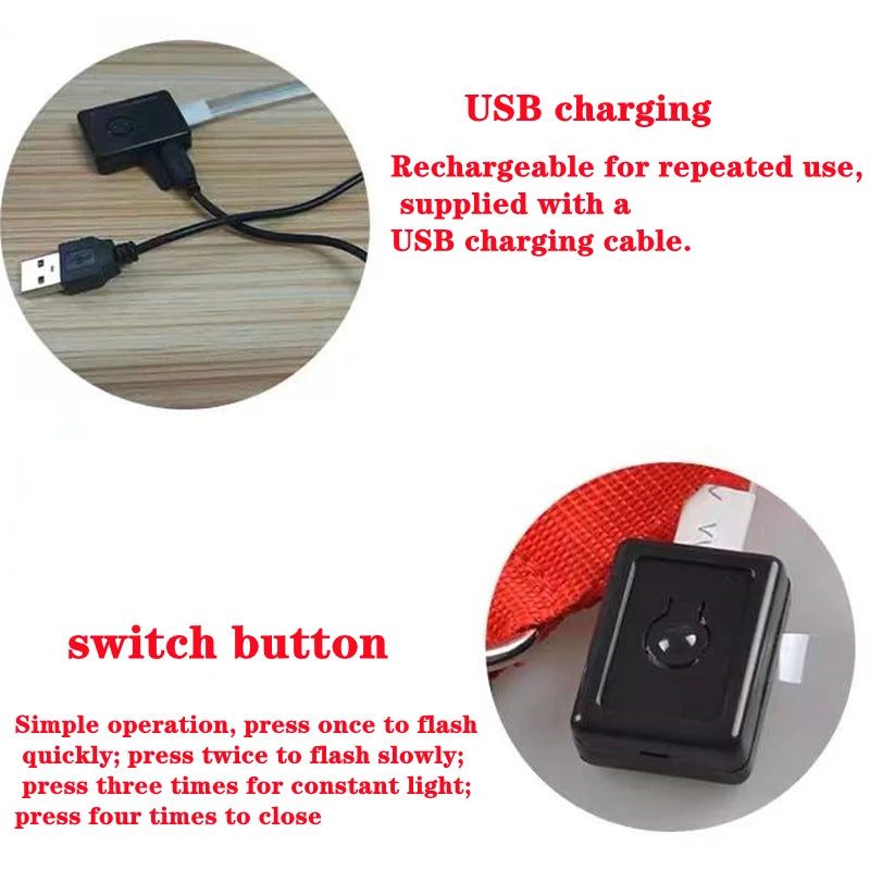 USB Rechargeable LED Glowing Dog Collar