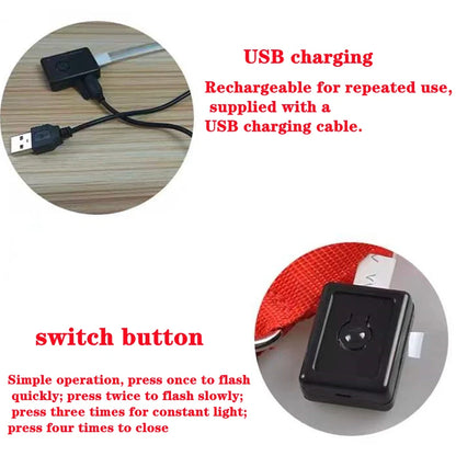 USB Rechargeable LED Glowing Dog Collar