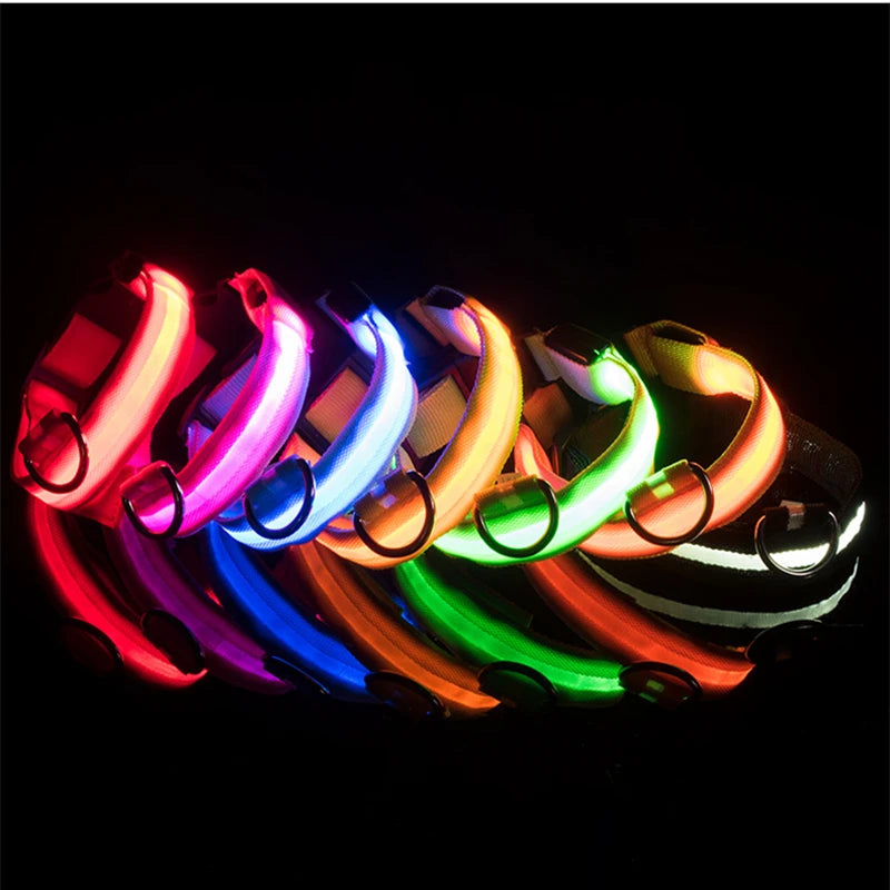 USB Rechargeable LED Glowing Dog Collar