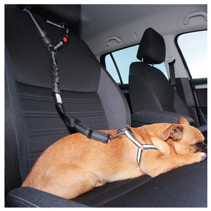 2-in-1 Dog Harness & Car Seat Belt – Adjustable Safety Leash for Pets