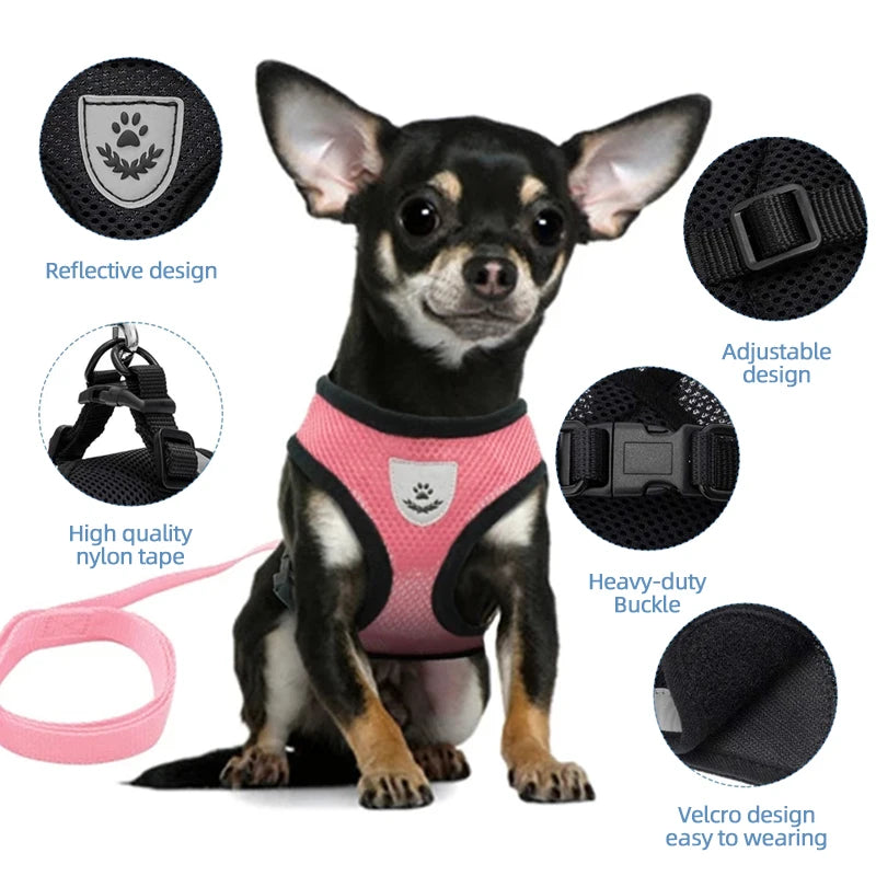 Summer Breathable Adjustable Mesh Harness & Leash for Small Dogs & Cats – Reflective Safety Vest