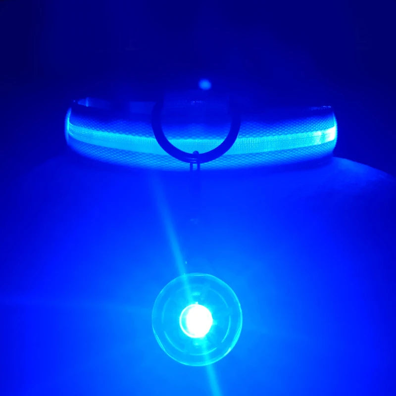 USB Rechargeable LED Glowing Dog Collar