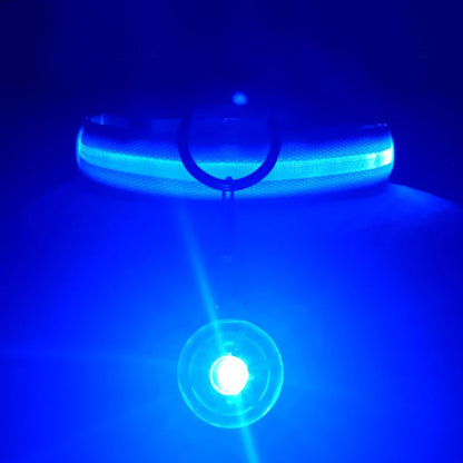 USB Rechargeable LED Glowing Dog Collar