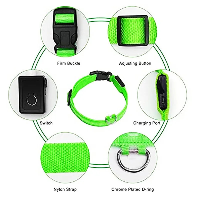 USB Rechargeable LED Glowing Dog Collar