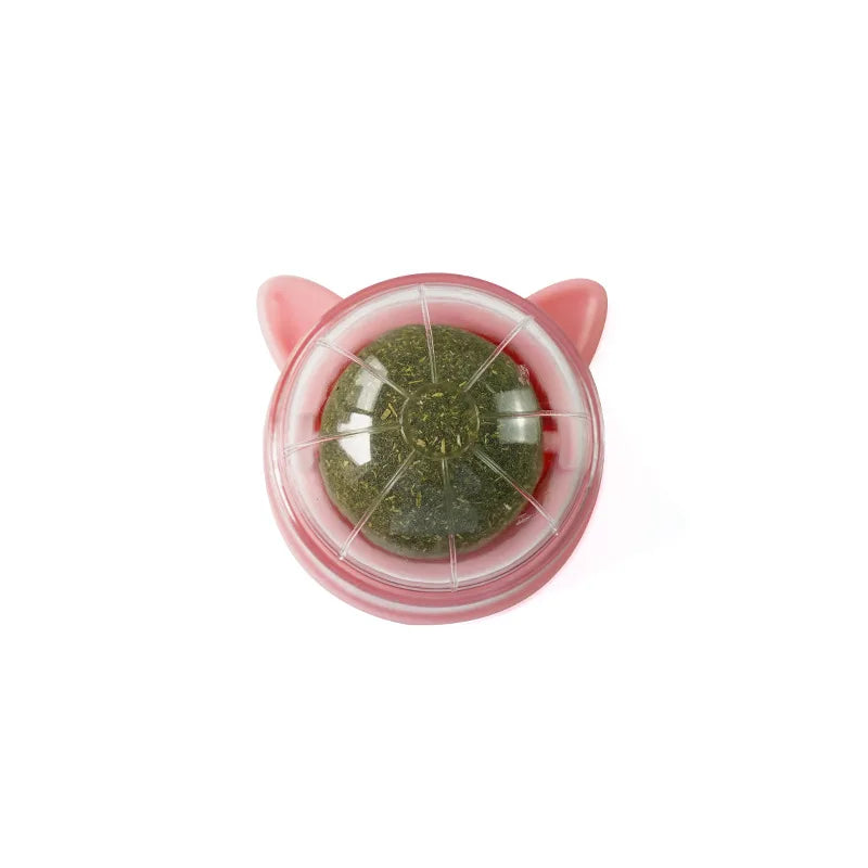 Natural Catnip & Cat Grass Digestive Treats with Scratch Wall Sticker
