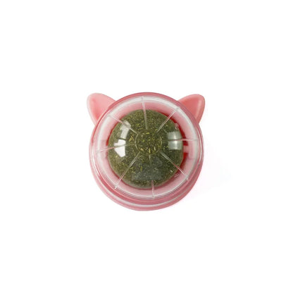 Natural Catnip & Cat Grass Digestive Treats with Scratch Wall Sticker