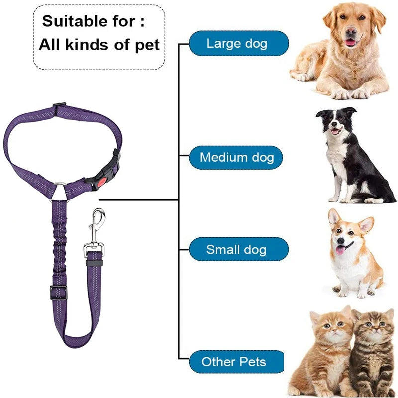2-in-1 Dog Harness & Car Seat Belt – Adjustable Safety Leash for Pets