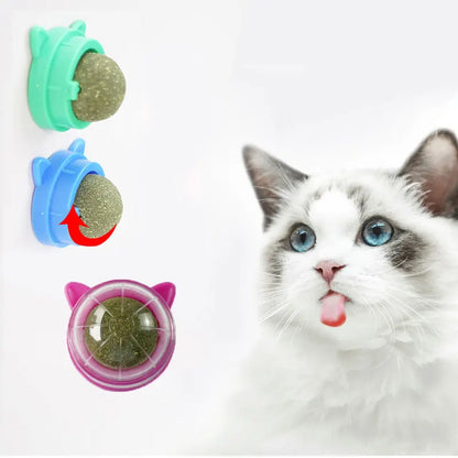 Natural Catnip & Cat Grass Digestive Treats with Scratch Wall Sticker