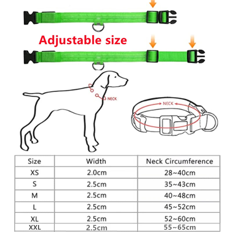 USB Rechargeable LED Glowing Dog Collar