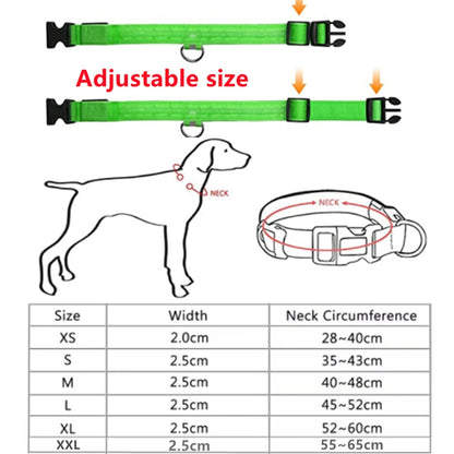 USB Rechargeable LED Glowing Dog Collar