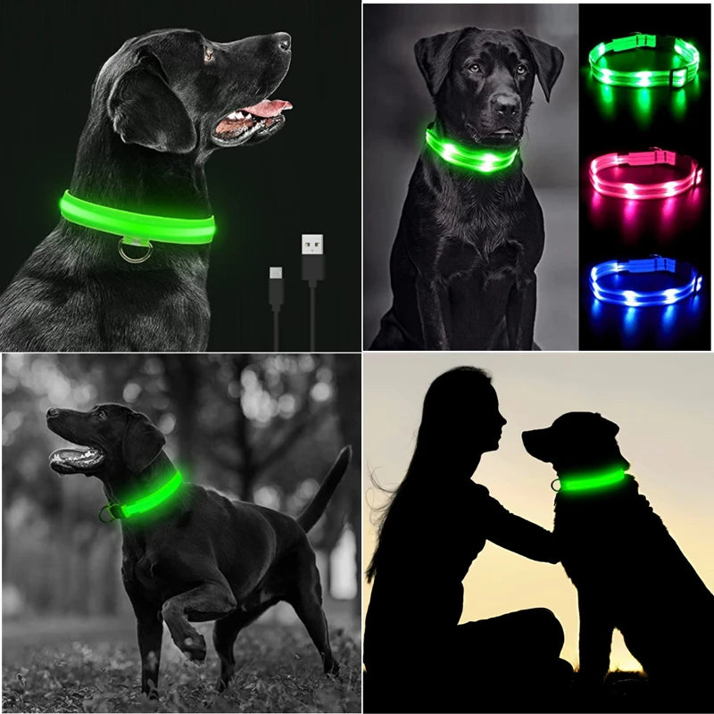 USB Rechargeable LED Glowing Dog Collar