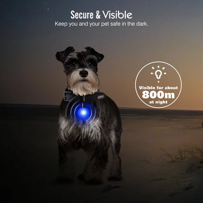 USB Rechargeable LED Glowing Dog Collar