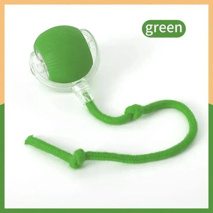 Rechargeable Smart Rolling Cat Toy – Faux Tail Mouse Simulation Ball