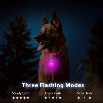 USB Rechargeable LED Glowing Dog Collar