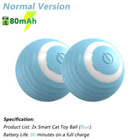 2PCS Blue 80mAh