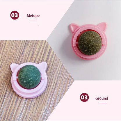 Natural Catnip & Cat Grass Digestive Treats with Scratch Wall Sticker