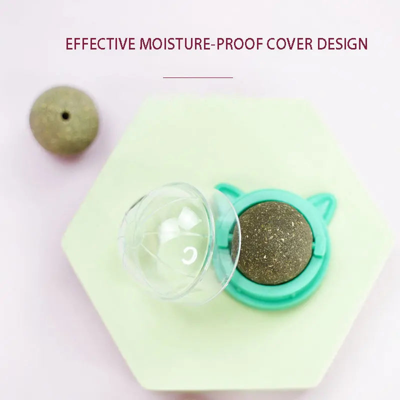 Natural Catnip & Cat Grass Digestive Treats with Scratch Wall Sticker