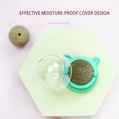 Natural Catnip & Cat Grass Digestive Treats with Scratch Wall Sticker