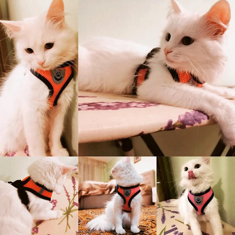 Summer Breathable Adjustable Mesh Harness & Leash for Small Dogs & Cats – Reflective Safety Vest