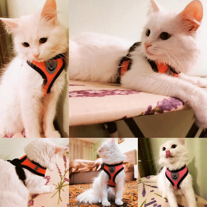 Summer Breathable Adjustable Mesh Harness & Leash for Small Dogs & Cats – Reflective Safety Vest