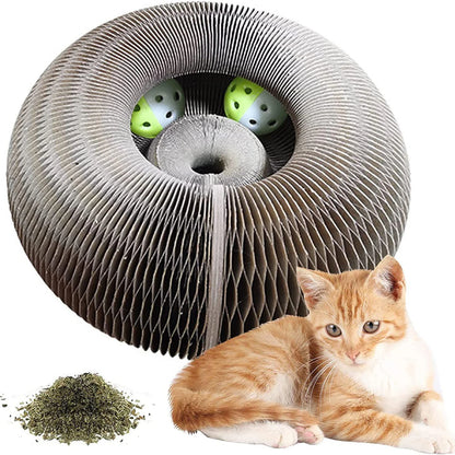 Magic Cat Scratch Organ Toy – 3-in-1 Scratcher, Climbing Frame & Ball Game