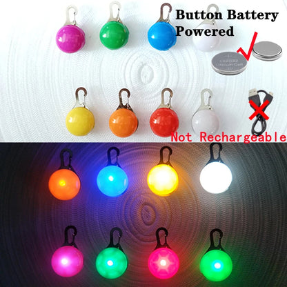 USB Rechargeable LED Glowing Dog Collar