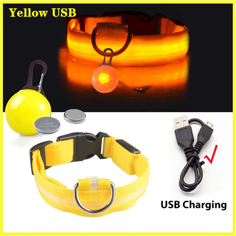 USB Rechargeable LED Glowing Dog Collar