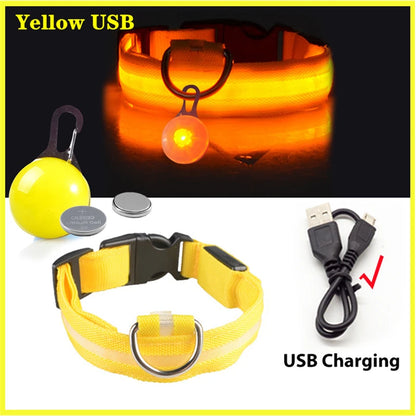 USB Rechargeable LED Glowing Dog Collar