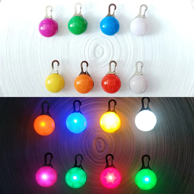 USB Rechargeable LED Glowing Dog Collar
