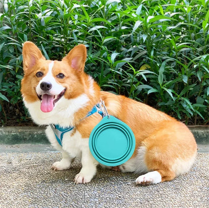 Collapsible Silicone Dog Bowl – 350ml Portable Travel Feeder