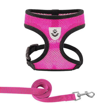 Summer Breathable Adjustable Mesh Harness & Leash for Small Dogs & Cats – Reflective Safety Vest