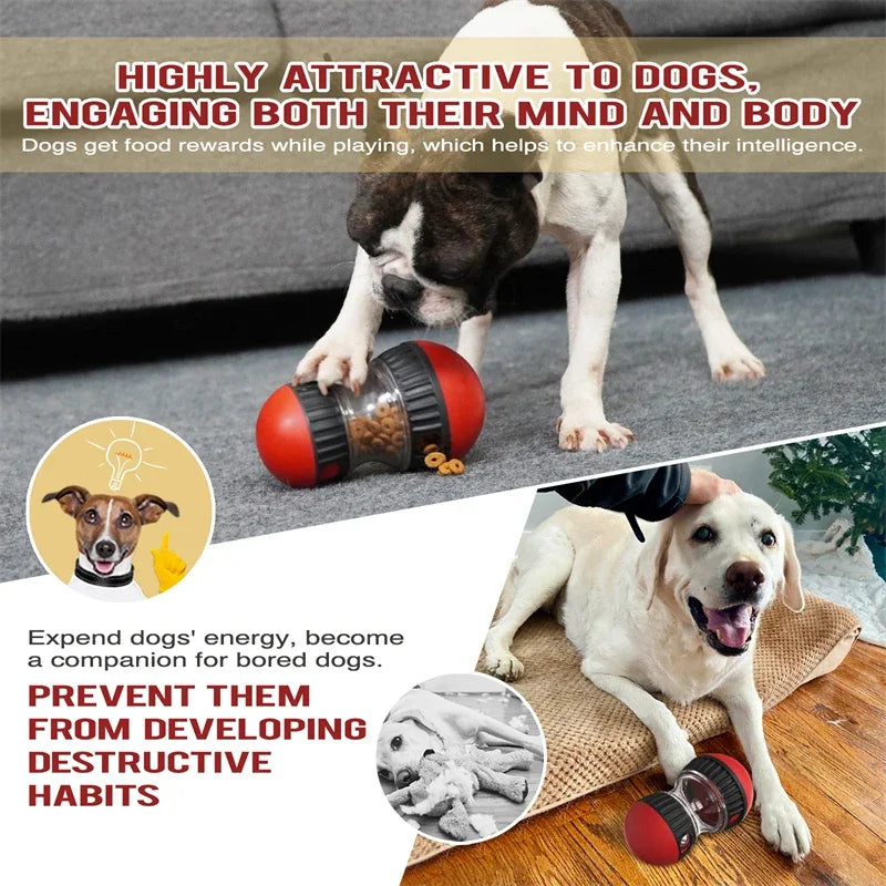 Interactive Dog IQ Toy – Elliptical Rolling Treat Dispensing Ball