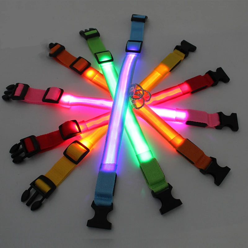 USB Rechargeable LED Glowing Dog Collar