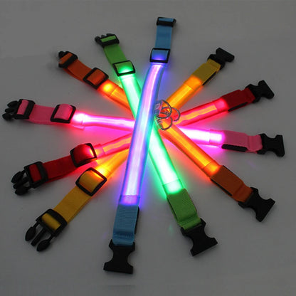 USB Rechargeable LED Glowing Dog Collar