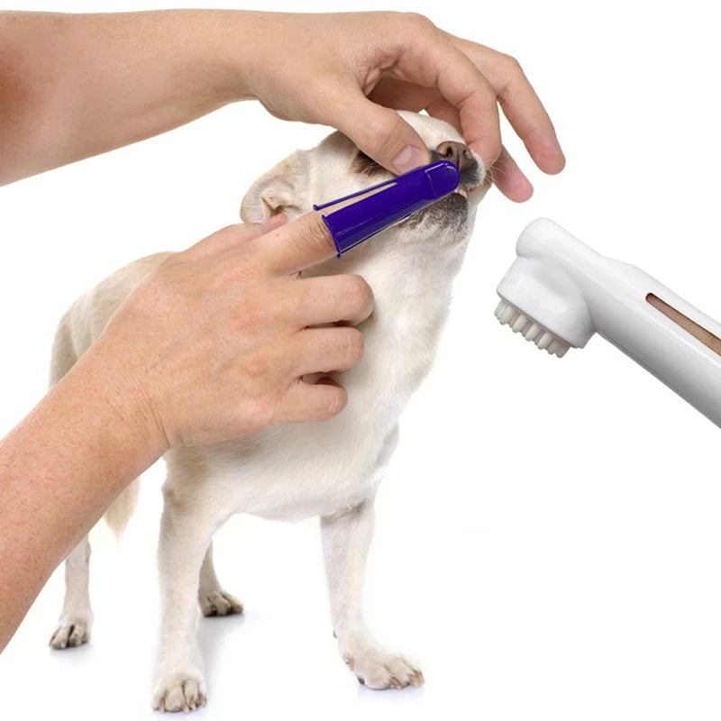 4-in-1 Dog Dental Care Kit – Toothpaste, Toothbrush & Finger Brush Set