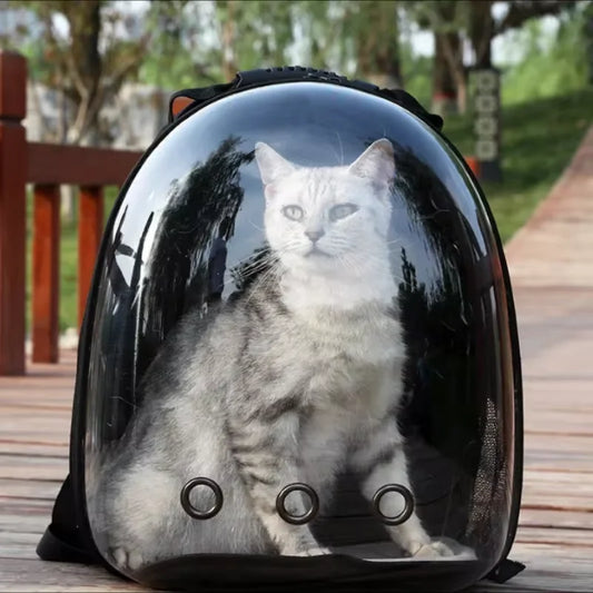 Transparent Cat Space Backpack – Breathable Travel Carrier for Pets