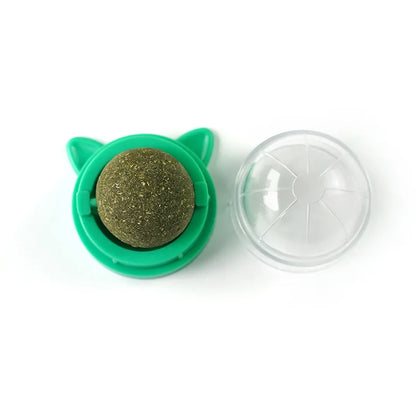 Natural Catnip & Cat Grass Digestive Treats with Scratch Wall Sticker