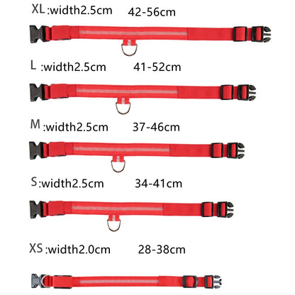 USB Rechargeable LED Glowing Dog Collar